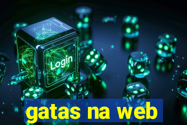 gatas na web